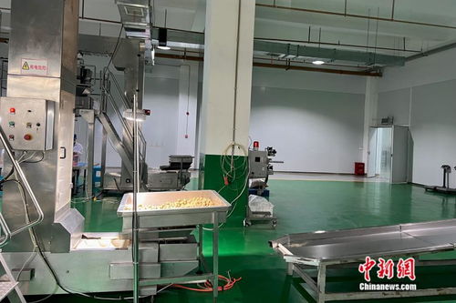 萬千氣象看云南丨從一顆核桃開始，在西南邊陲探索“一縣一業(yè)”熱能產品研發(fā)